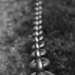 pexels-luděk-maděryč-86733